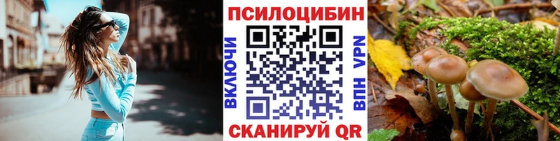 omg маркетплейс  Каменск-Уральский  Псилоцибиновые грибы Psilocybine cubensis  купить  